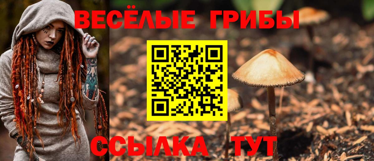 Псилоцибиновые грибы GOLDEN TEACHER  Псилоцибиновые грибы Magic Shrooms  Вход с VPN  купить закладку  Кубинка 